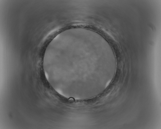 X0000113781351200910211156