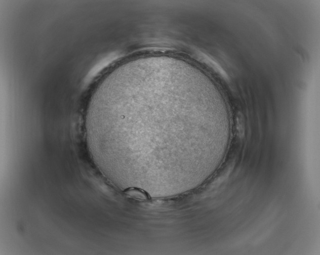 X0000113781352200910211156