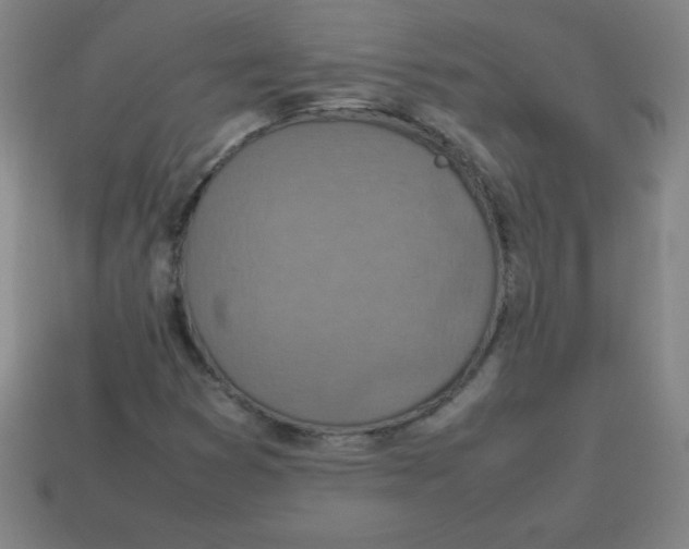 X0000113781353200910211156