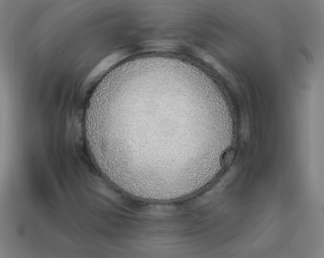 X0000113781354200910211156