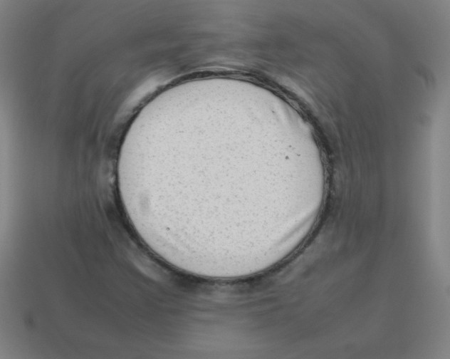 X0000113781355200910211156