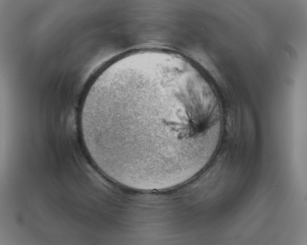 X0000113781356200910211156