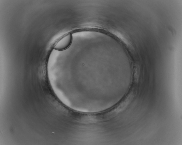 X0000113781358200910211156