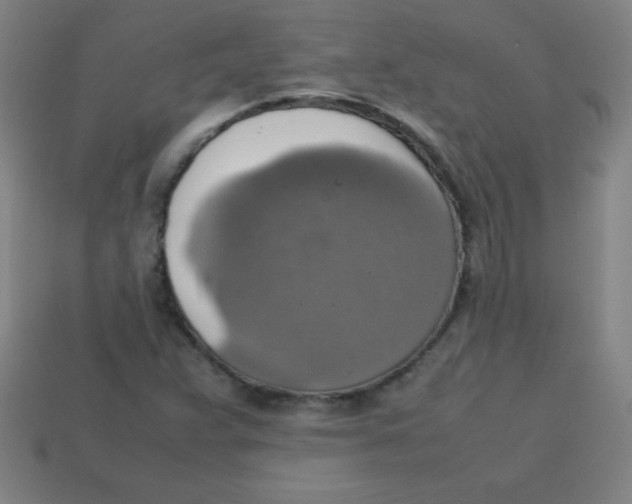 X0000113781359200910211156