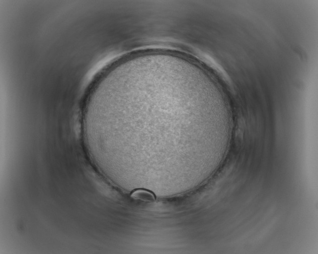 X0000113781360200910211156