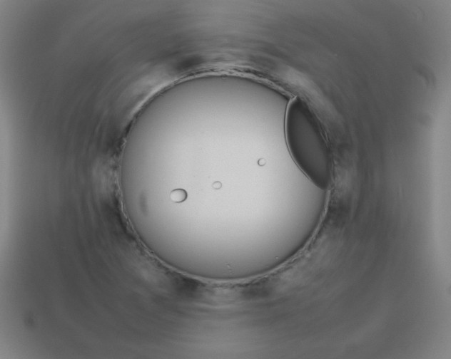 X0000113781361200910211156