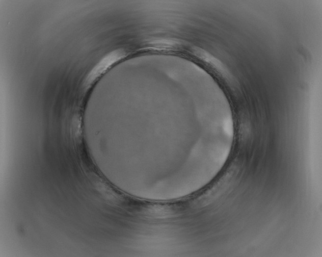 X0000113781362200910211156