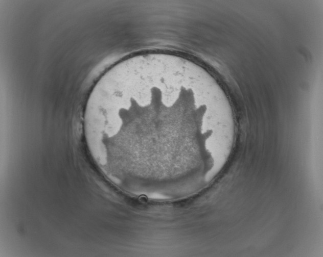 X0000113781363200910211156