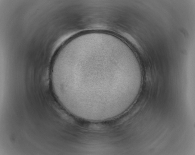 X0000113781364200910211156