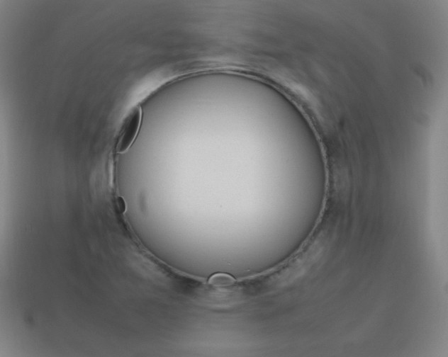 X0000113781365200910211156