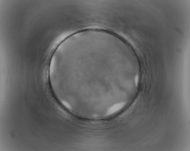 X0000113781367200910211156