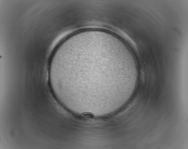 X0000113781368200910211156