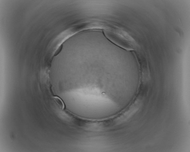 X0000113781369200910211156