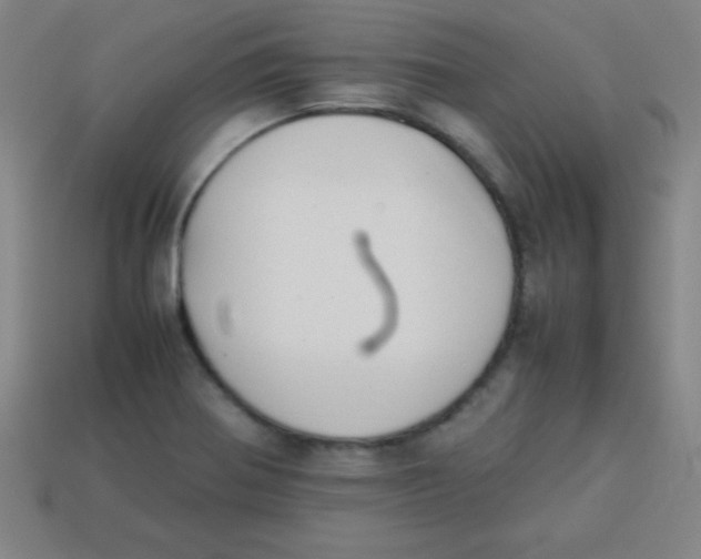 X0000113781370200910211156