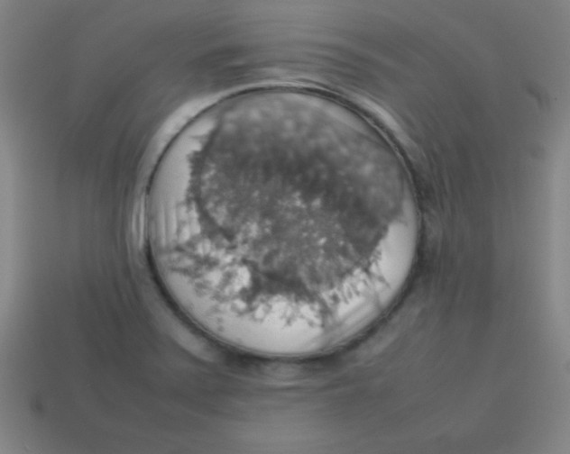 X0000113781371200910211156