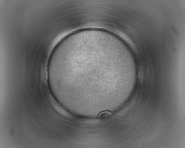 X0000113781372200910211156