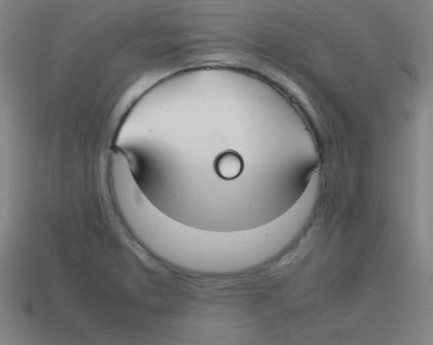 X0000113781373200910211156