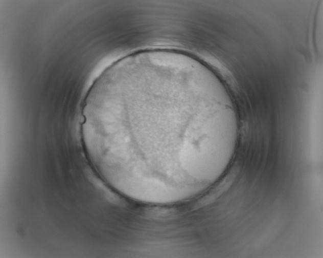 X0000113781374200910211156