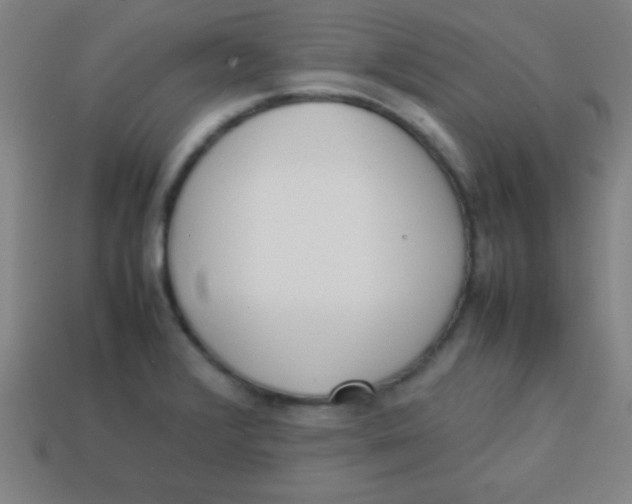 X0000113781376200910211156