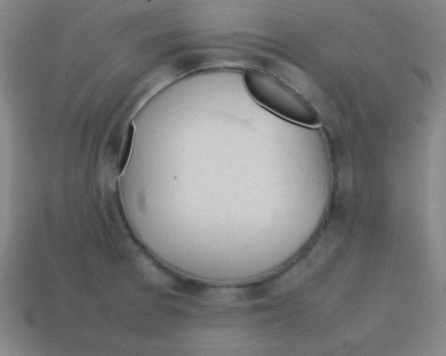 X0000113781377200910211156