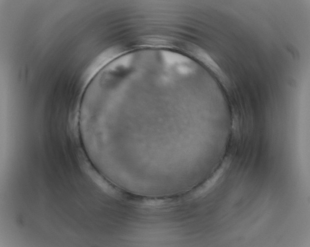 X0000113781378200910211156