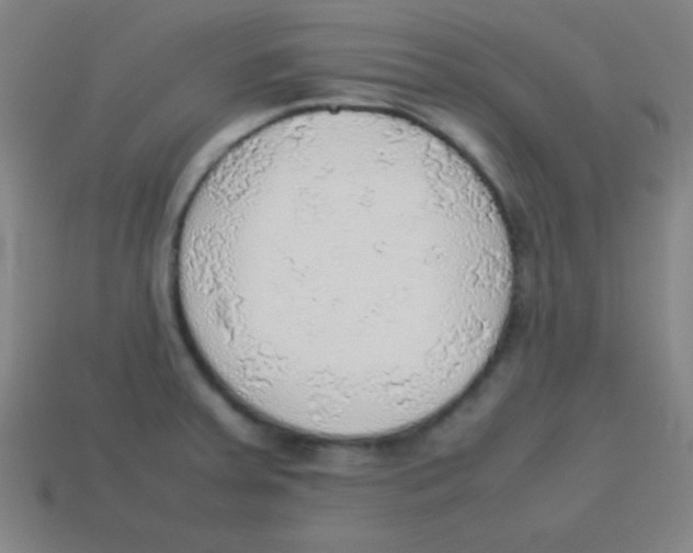 X0000113781379200910211156