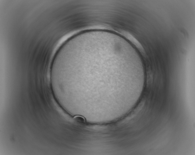 X0000113781380200910211156