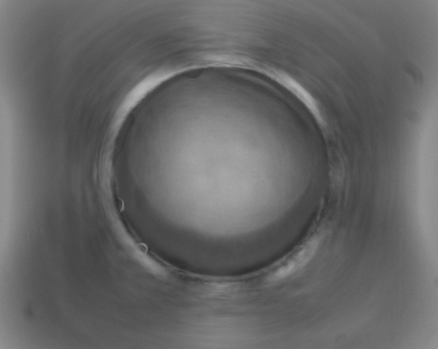 X0000113781381200910211156