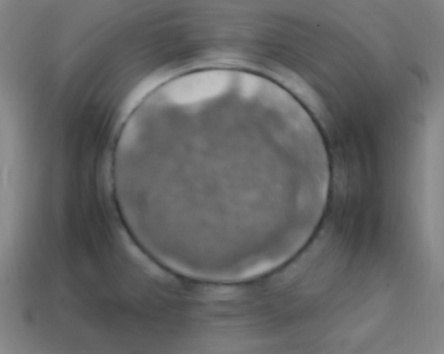 X0000113781382200910211156