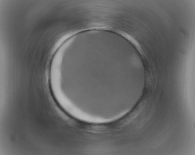 X0000113781383200910211156