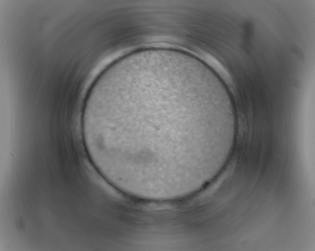 X0000113781384200910211156