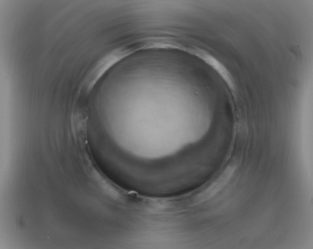 X0000113781385200910211156