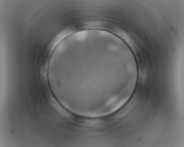 X0000113781386200910211156