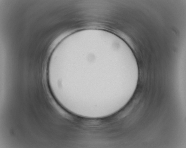 X0000113781387200910211156