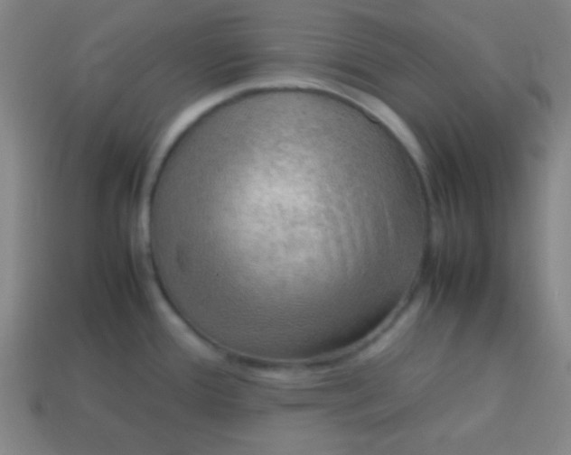 X0000113781388200910211156