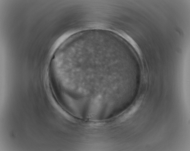 X0000113781389200910211156