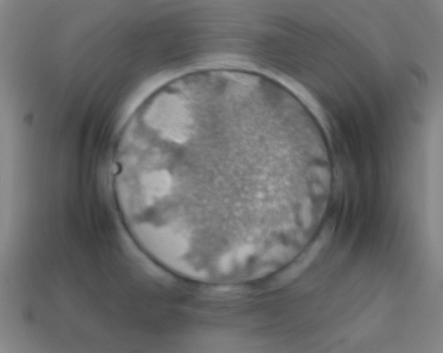 X0000113781390200910211156