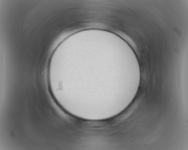 X0000113781391200910211156