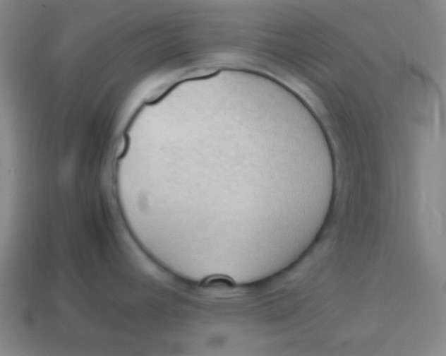 X0000113781392200910211156