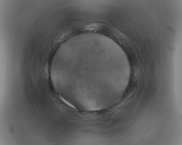 X0000113781394200910211155