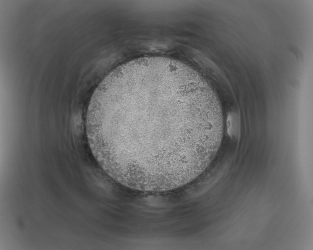 X0000113781395200910211155