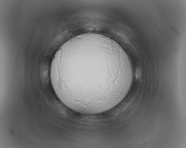 X0000113781396200910211155