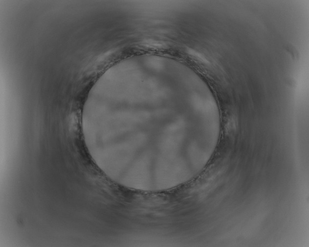 X0000113781397200910211155