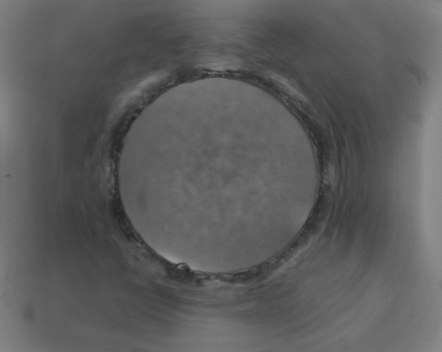 X0000113781398200910211155