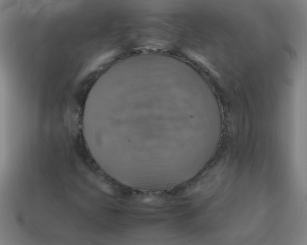 X0000113781399200910211155