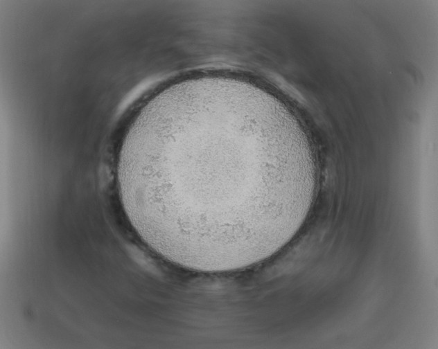 X0000113781400200910211155