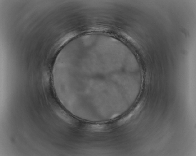 X0000113781401200910211155