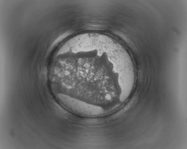 X0000113781402200910211155