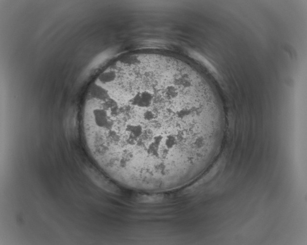 X0000113781403200910211155