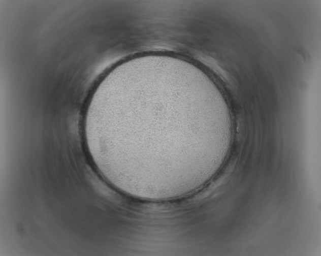 X0000113781404200910211155